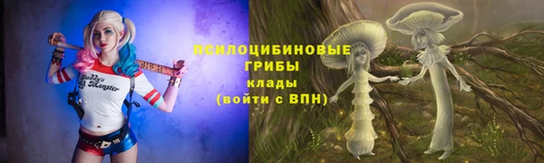 гашик Нефтекумск