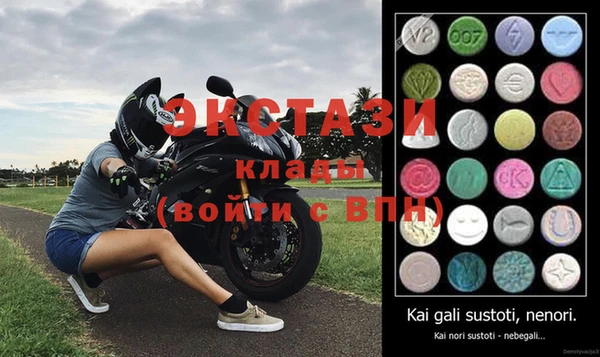 ECSTASY Богородицк