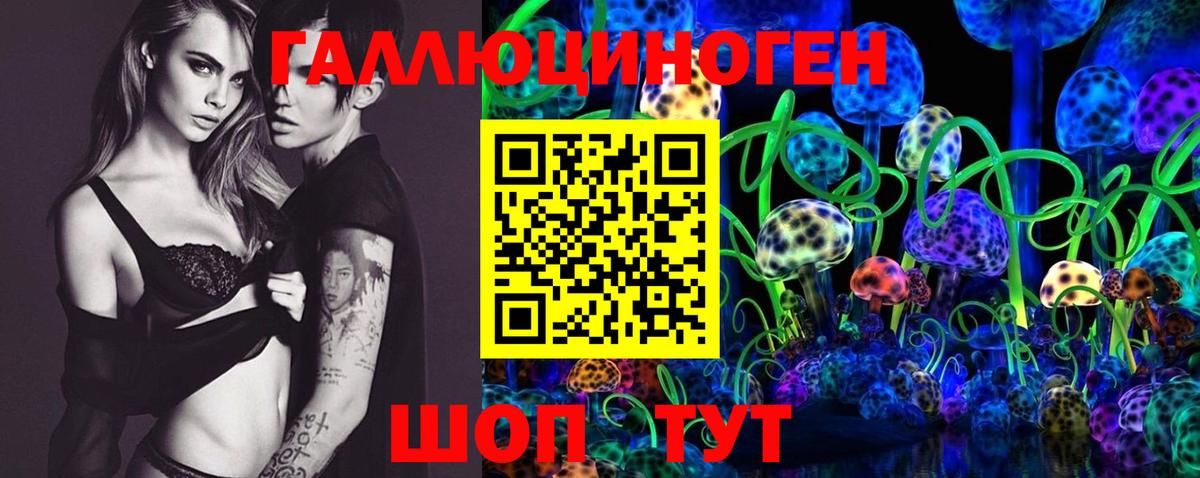 Псилоцибиновые грибы Psilocybine cubensis Томск