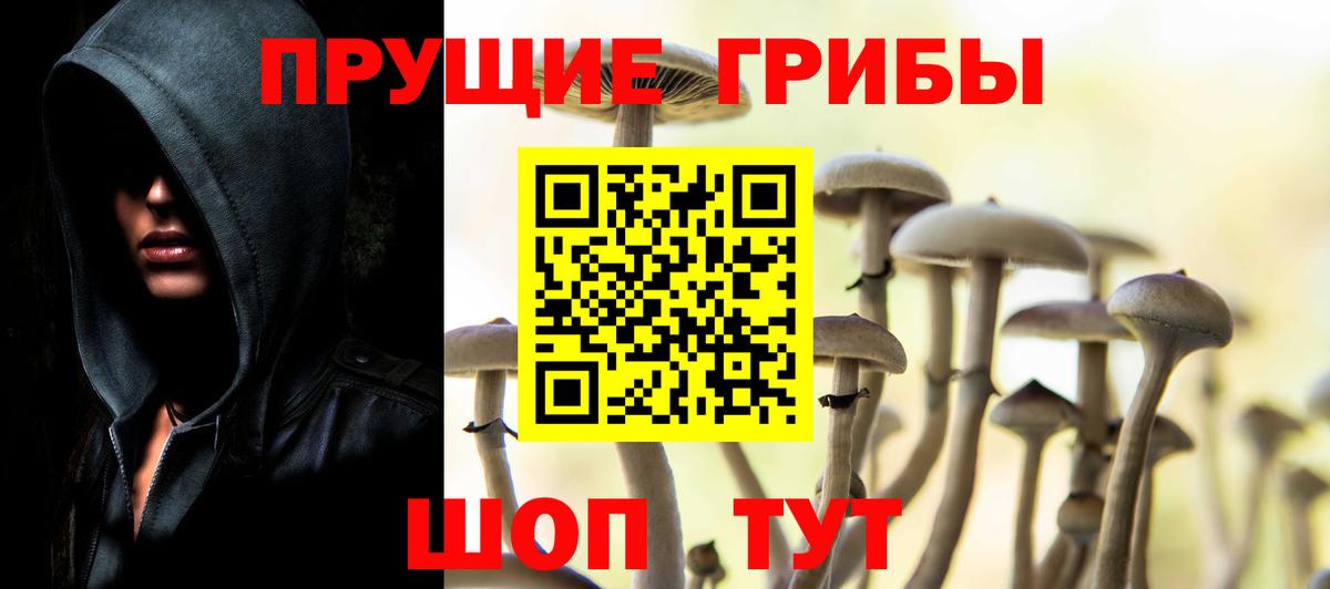 Галлюциногенные грибы GOLDEN TEACHER  Псилоцибиновые грибы Cubensis  Томск 